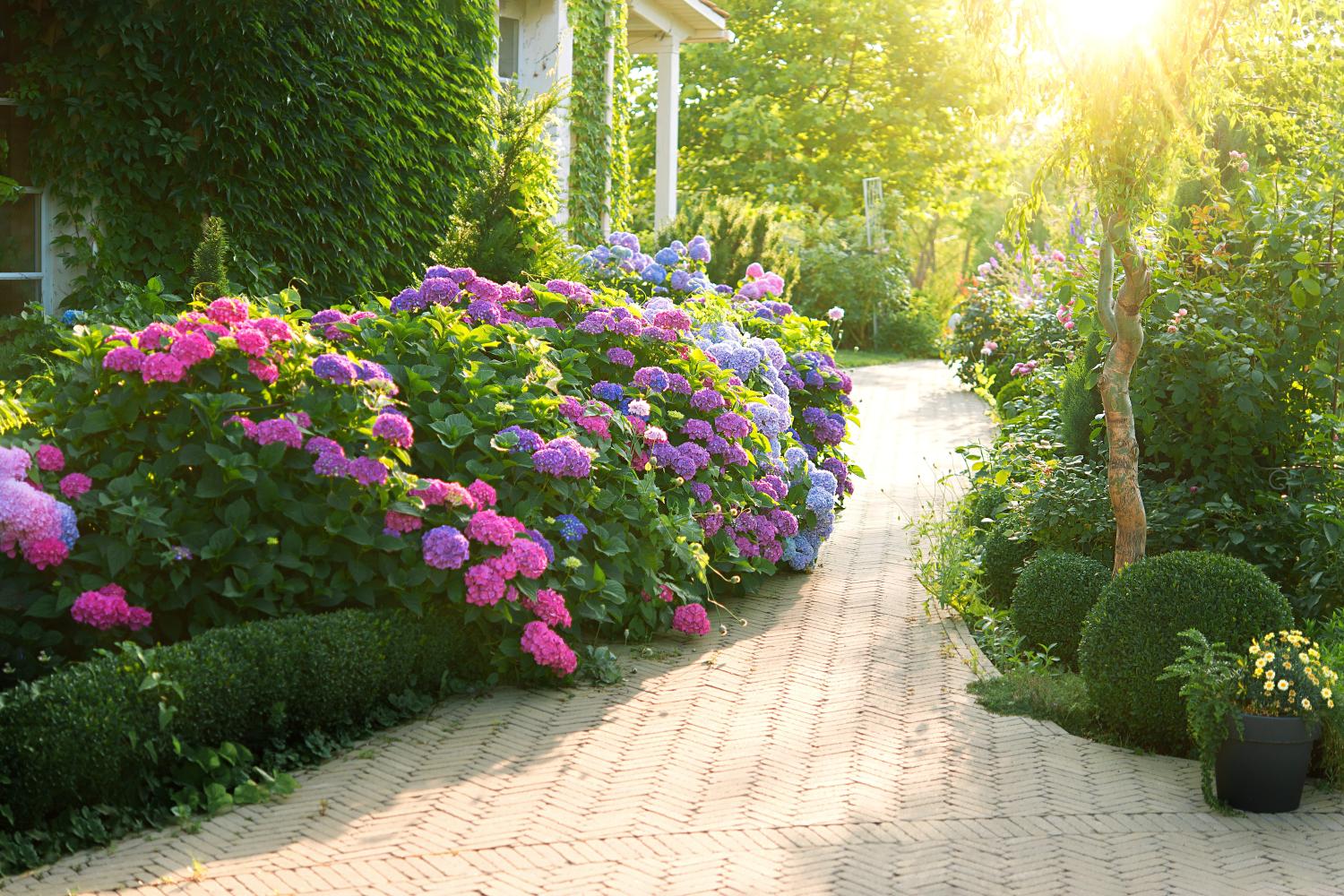 Frisch angelegter Garten mit Staudenbeeten