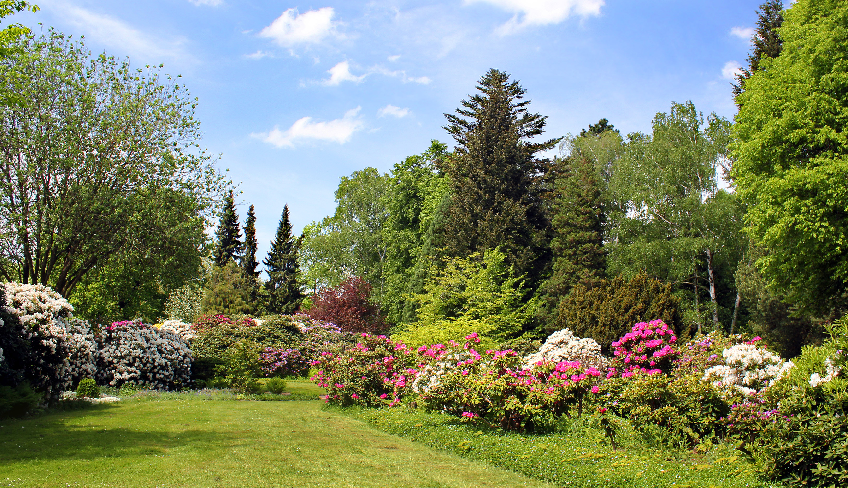 Gepflegter Rasen mit sauber geschnittener Hecke